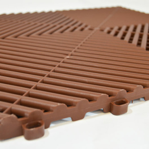 Chocolate Brown 1