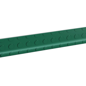 ForteLock molding coin green scaled